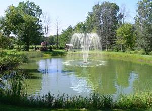 Willow 1", 20 x 4 мм