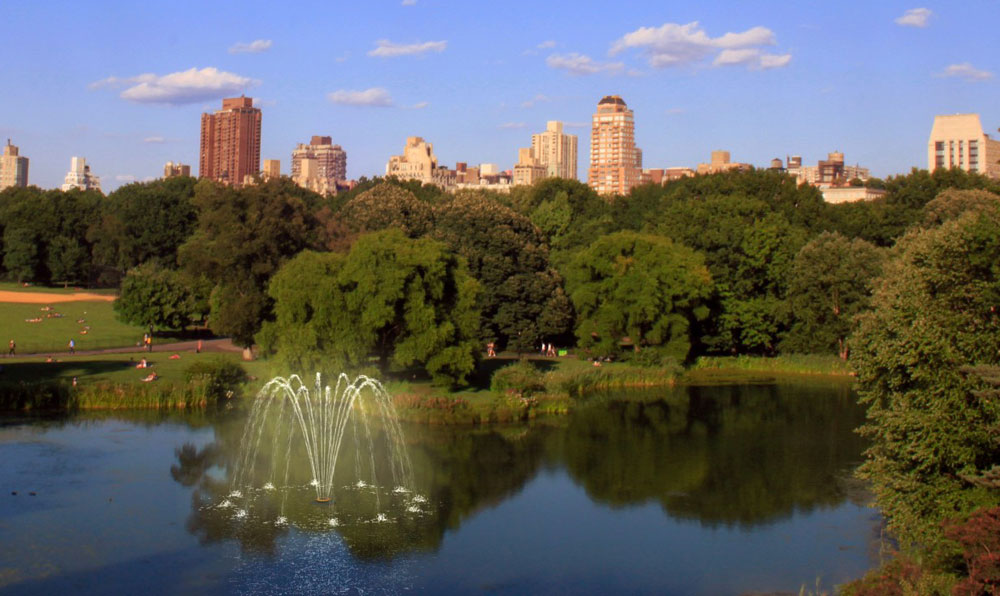 Special Crown 2 1/2", 12 x 8 мм (Volga)